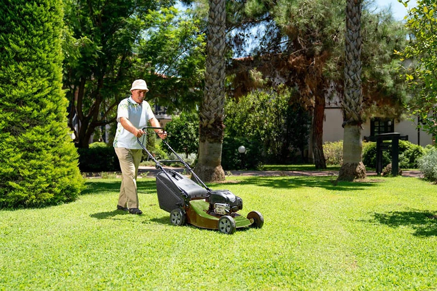 cordless grass cutter